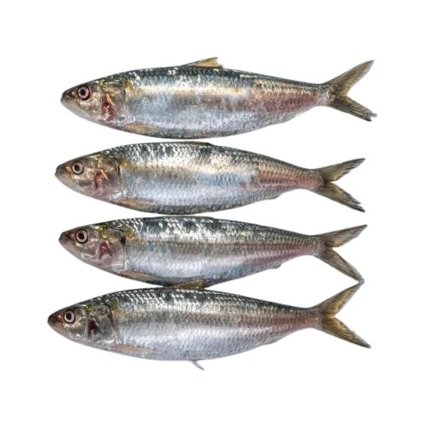 Sardines Big Whole Cleaned 500 g